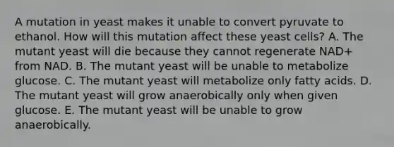 A mutation in yeast makes it unable to convert pyruvate to ethanol. How will this mutation affect these yeast cells? A. The mutant yeast will die because they cannot regenerate NAD+ from NAD. B. The mutant yeast will be unable to metabolize glucose. C. The mutant yeast will metabolize only fatty acids. D. The mutant yeast will grow anaerobically only when given glucose. E. The mutant yeast will be unable to grow anaerobically.