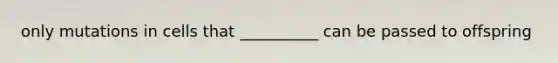 only mutations in cells that __________ can be passed to offspring