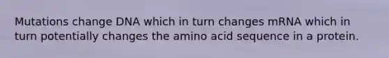Mutations change DNA which in turn changes mRNA which in turn potentially changes the amino acid sequence in a protein.