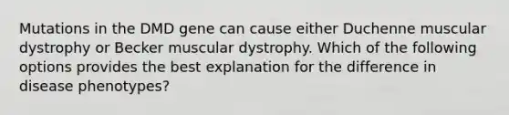 Mutations in the DMD gene can cause either Duchenne muscular dystrophy or Becker muscular dystrophy. Which of the following options provides the best explanation for the difference in disease phenotypes?