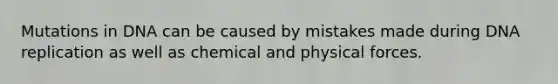 Mutations in DNA can be caused by mistakes made during DNA replication as well as chemical and physical forces.