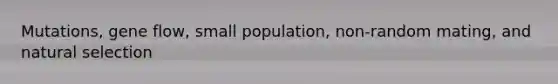 Mutations, gene flow, small population, non-random mating, and natural selection