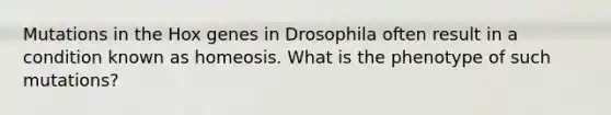 Mutations in the Hox genes in Drosophila often result in a condition known as homeosis. What is the phenotype of such mutations?