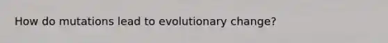 How do mutations lead to evolutionary change?