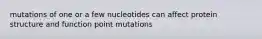 mutations of one or a few nucleotides can affect protein structure and function point mutations