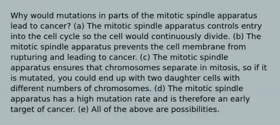 Why would mutations in parts of the mitotic spindle apparatus lead to cancer? (a) The mitotic spindle apparatus controls entry into the cell cycle so the cell would continuously divide. (b) The mitotic spindle apparatus prevents the cell membrane from rupturing and leading to cancer. (c) The mitotic spindle apparatus ensures that chromosomes separate in mitosis, so if it is mutated, you could end up with two daughter cells with different numbers of chromosomes. (d) The mitotic spindle apparatus has a high mutation rate and is therefore an early target of cancer. (e) All of the above are possibilities.