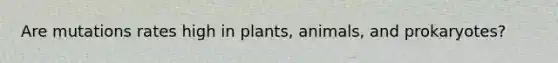 Are mutations rates high in plants, animals, and prokaryotes?