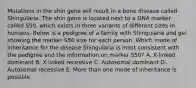 Mutations in the shin gene will result in a bone disease called Shingularia. The shin gene is located next to a DNA marker called S50, which exists in three variants of different sizes in humans. Below is a pedigree of a family with Shingularia and gel showing the marker S50 size for each person. Which mode of inheritance for the disease Shingularia is most consistent with the pedigree and the information on marker S50? A. X-linked dominant B. X-linked recessive C. Autosomal dominant D. Autosomal recessive E. More than one mode of inheritance is possible