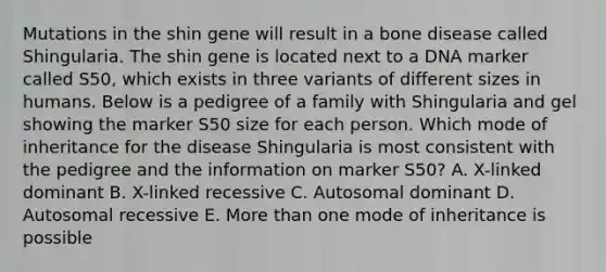 Mutations in the shin gene will result in a bone disease called Shingularia. The shin gene is located next to a DNA marker called S50, which exists in three variants of different sizes in humans. Below is a pedigree of a family with Shingularia and gel showing the marker S50 size for each person. Which mode of inheritance for the disease Shingularia is most consistent with the pedigree and the information on marker S50? A. X-linked dominant B. X-linked recessive C. Autosomal dominant D. Autosomal recessive E. More than one mode of inheritance is possible