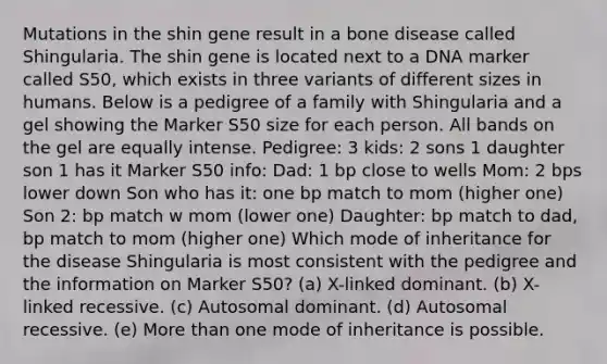 Mutations in the shin gene result in a bone disease called Shingularia. The shin gene is located next to a DNA marker called S50, which exists in three variants of different sizes in humans. Below is a pedigree of a family with Shingularia and a gel showing the Marker S50 size for each person. All bands on the gel are equally intense. Pedigree: 3 kids: 2 sons 1 daughter son 1 has it Marker S50 info: Dad: 1 bp close to wells Mom: 2 bps lower down Son who has it: one bp match to mom (higher one) Son 2: bp match w mom (lower one) Daughter: bp match to dad, bp match to mom (higher one) Which mode of inheritance for the disease Shingularia is most consistent with the pedigree and the information on Marker S50? (a) X-linked dominant. (b) X-linked recessive. (c) Autosomal dominant. (d) Autosomal recessive. (e) <a href='https://www.questionai.com/knowledge/keWHlEPx42-more-than' class='anchor-knowledge'>more than</a> one mode of inheritance is possible.