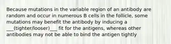 Because mutations in the variable region of an antibody are random and occur in numerous B cells in the follicle, some mutations may benefit the antibody by inducing a ___(tighter/looser)___ fit for the antigens, whereas other antibodies may not be able to bind the antigen tightly