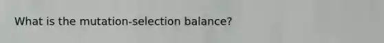 What is the mutation-selection balance?