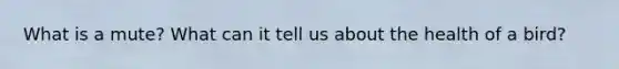 What is a mute? What can it tell us about the health of a bird?