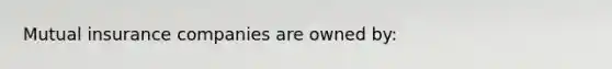 Mutual insurance companies are owned by: