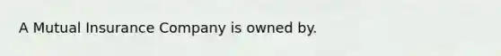 A Mutual Insurance Company is owned by.