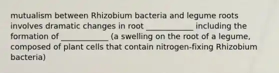 mutualism between Rhizobium bacteria and legume roots involves dramatic changes in root ____________ including the formation of ____________ (a swelling on the root of a legume, composed of plant cells that contain nitrogen-fixing Rhizobium bacteria)