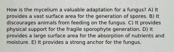 How is the mycelium a valuable adaptation for a fungus? A) It provides a vast surface area for the generation of spores. B) It discourages animals from feeding on the fungus. C) It provides physical support for the fragile sporophyte generation. D) It provides a large surface area for the absorption of nutrients and moisture. E) It provides a strong anchor for the fungus.