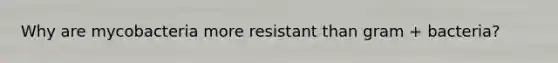 Why are mycobacteria more resistant than gram + bacteria?