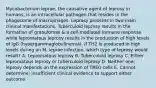 Mycobacterium leprae, the causative agent of leprosy in humans, is an intracellular pathogen that resides in the phagosome of macrophages. Leprosy presents in two main clinical manifestations. Tuberculoid leprosy results in the formation of granulomas & a cell-mediated immune response while lepromatous leprosy results in the production of high levels of IgG (hypergammaglobulinemia). If TH2 is produced in high levels during an M. leprae infection, which type of leprosy would result? A. Lepromatous leprosy B. Tuberculoid leprosy C. Either lepromatous leprosy or tuberculoid leprosy D. Neither one; leprosy depends on the expression of TREG cells E. Cannot determine; insufficient clinical evidence to support either outcome