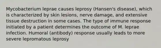 Mycobacterium leprae causes leprosy (Hansen's disease), which is characterized by skin lesions, nerve damage, and extensive tissue destruction in some cases. The type of immune response initiated by a patient determines the outcome of M. leprae infection. Humoral (antibody) response usually leads to more severe lepromatous leprosy