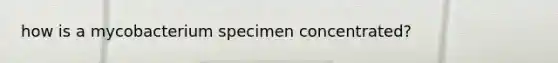 how is a mycobacterium specimen concentrated?