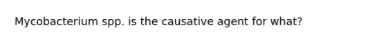 Mycobacterium spp. is the causative agent for what?