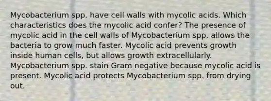 Mycobacterium spp. have cell walls with mycolic acids. Which characteristics does the mycolic acid confer? The presence of mycolic acid in the cell walls of Mycobacterium spp. allows the bacteria to grow much faster. Mycolic acid prevents growth inside human cells, but allows growth extracellularly. Mycobacterium spp. stain Gram negative because mycolic acid is present. Mycolic acid protects Mycobacterium spp. from drying out.