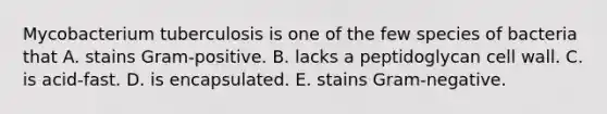 Mycobacterium tuberculosis is one of the few species of bacteria that A. stains Gram-positive. B. lacks a peptidoglycan cell wall. C. is acid-fast. D. is encapsulated. E. stains Gram-negative.