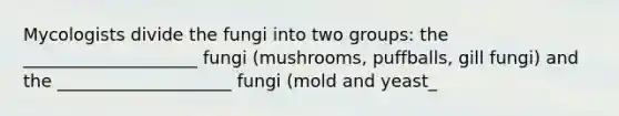 Mycologists divide the fungi into two groups: the ____________________ fungi (mushrooms, puffballs, gill fungi) and the ____________________ fungi (mold and yeast_