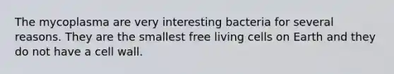 The mycoplasma are very interesting bacteria for several reasons. They are the smallest free living cells on Earth and they do not have a cell wall.
