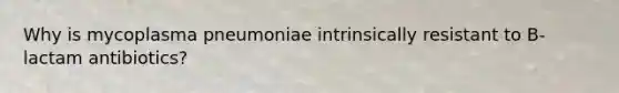 Why is mycoplasma pneumoniae intrinsically resistant to B-lactam antibiotics?