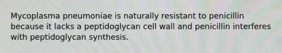 Mycoplasma pneumoniae is naturally resistant to penicillin because it lacks a peptidoglycan cell wall and penicillin interferes with peptidoglycan synthesis.