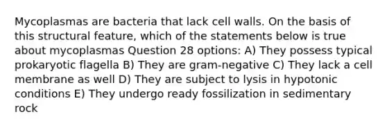 Mycoplasmas are bacteria that lack cell walls. On the basis of this structural feature, which of the statements below is true about mycoplasmas Question 28 options: A) They possess typical prokaryotic flagella B) They are gram-negative C) They lack a cell membrane as well D) They are subject to lysis in hypotonic conditions E) They undergo ready fossilization in sedimentary rock