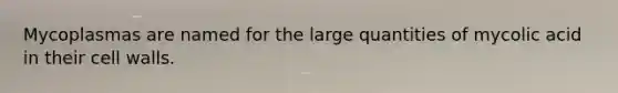 Mycoplasmas are named for the large quantities of mycolic acid in their cell walls.