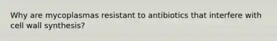 Why are mycoplasmas resistant to antibiotics that interfere with cell wall synthesis?