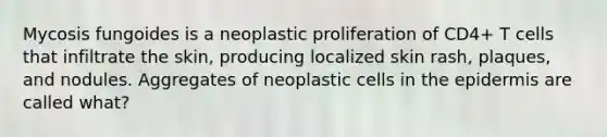 Mycosis fungoides is a neoplastic proliferation of CD4+ T cells that infiltrate the skin, producing localized skin rash, plaques, and nodules. Aggregates of neoplastic cells in the epidermis are called what?