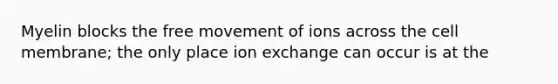 Myelin blocks the free movement of ions across the cell membrane; the only place ion exchange can occur is at the