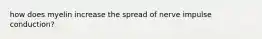 how does myelin increase the spread of nerve impulse conduction?