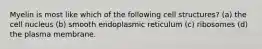 Myelin is most like which of the following cell structures? (a) the cell nucleus (b) smooth endoplasmic reticulum (c) ribosomes (d) the plasma membrane.