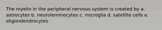 The myelin in the peripheral nervous system is created by a. astrocytes b. neurolemmocytes c. microglia d. satellite cells e. oligondendrocytes