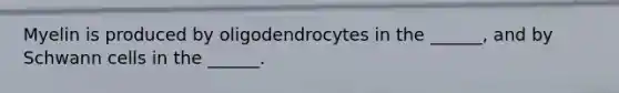 Myelin is produced by oligodendrocytes in the ______, and by Schwann cells in the ______.