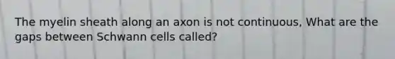 The myelin sheath along an axon is not continuous, What are the gaps between Schwann cells called?