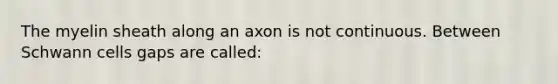 The myelin sheath along an axon is not continuous. Between Schwann cells gaps are called: