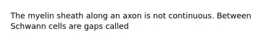 The myelin sheath along an axon is not continuous. Between Schwann cells are gaps called