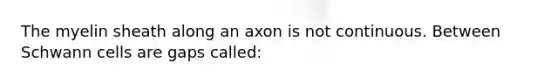 The myelin sheath along an axon is not continuous. Between Schwann cells are gaps called: