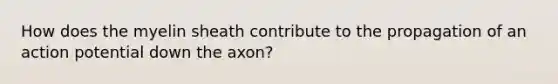 How does the myelin sheath contribute to the propagation of an action potential down the axon?