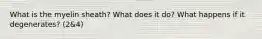 What is the myelin sheath? What does it do? What happens if it degenerates? (2&4)
