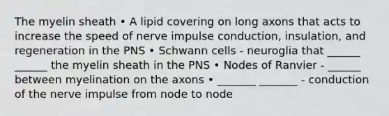 The myelin sheath • A lipid covering on long axons that acts to increase the speed of nerve impulse conduction, insulation, and regeneration in the PNS • Schwann cells - neuroglia that ______ ______ the myelin sheath in the PNS • Nodes of Ranvier - ______ between myelination on the axons • _______ _______ - conduction of the nerve impulse from node to node