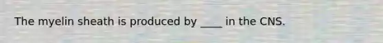 The myelin sheath is produced by ____ in the CNS.