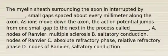 The myelin sheath surrounding the axon in interrupted by ________, small gaps spaced about every millimeter along the axon. As ions move down the axon, the action potential jumps from one small gap to the next in the process called________. A. nodes of Ranvier, multiple sclerosis B. saltatory conduction, nodes of Ranvier C. absolute refractory phase, relative refractory phase D. nodes of Ranvier, saltatory conduction